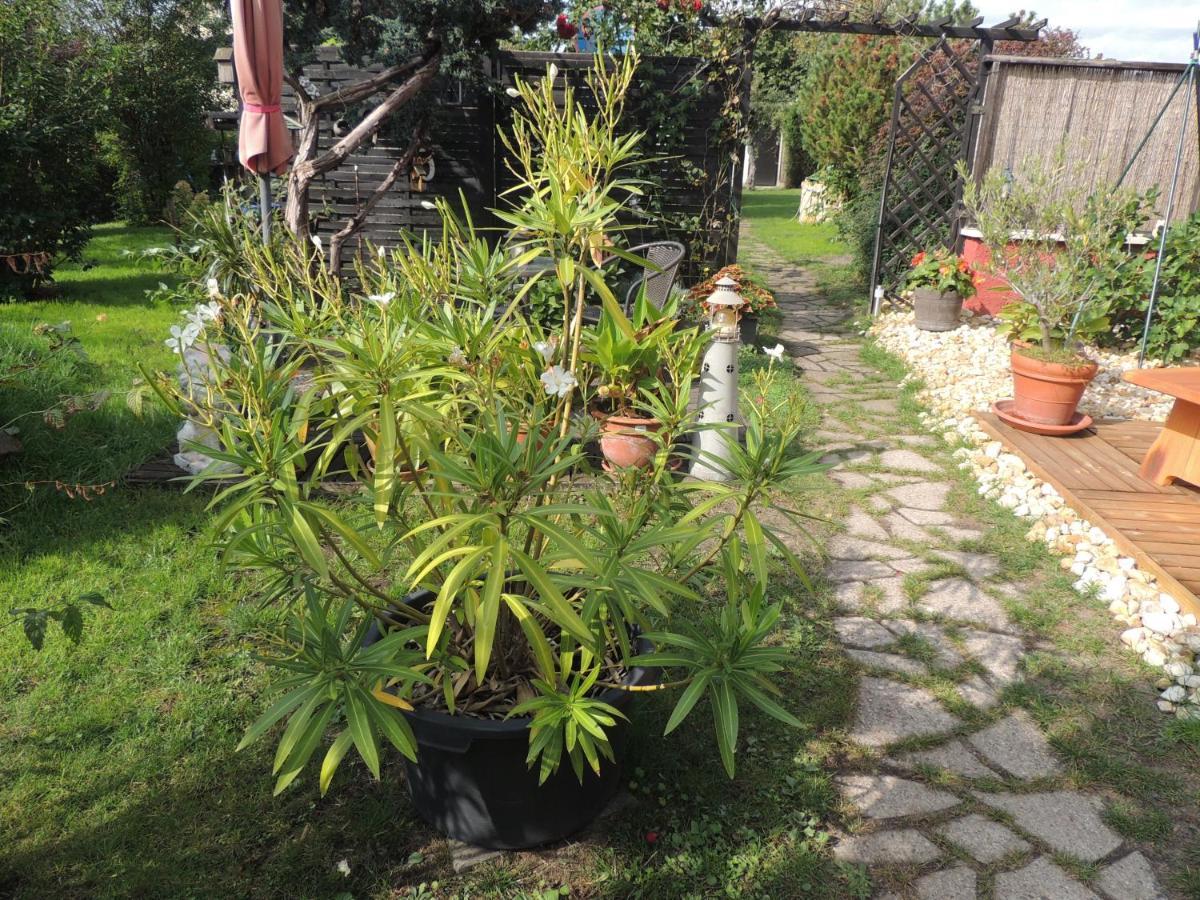 Ferienwohnung Am Hausberg In Radebeul Luaran gambar